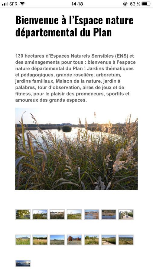 Maison "Les Vignes" Le Pradet Zewnętrze zdjęcie